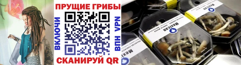 KRAKEN ONION Волгоград Псилоцибиновые грибы Cubensis