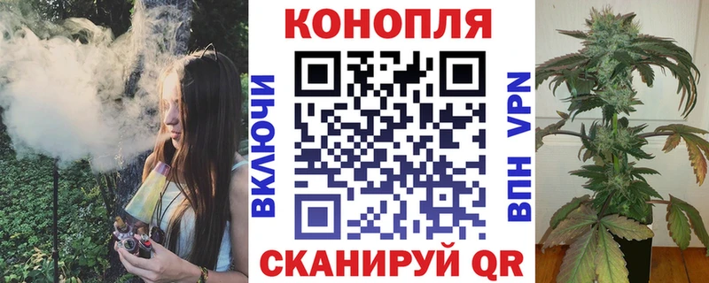 Бошки марихуана гибрид  магазин продажи наркотиков  ссылка на мегу рабочий сайт  Волгоград 